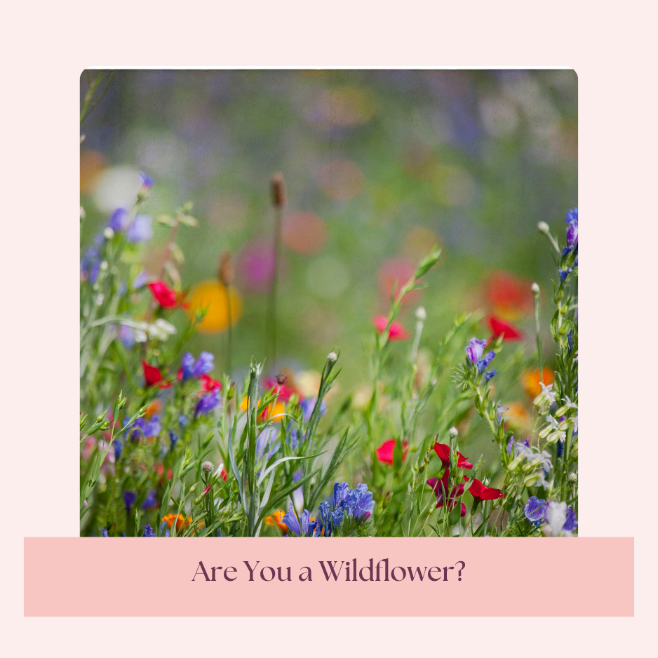 Are you a wildflower? How to embrace your inner wildflower